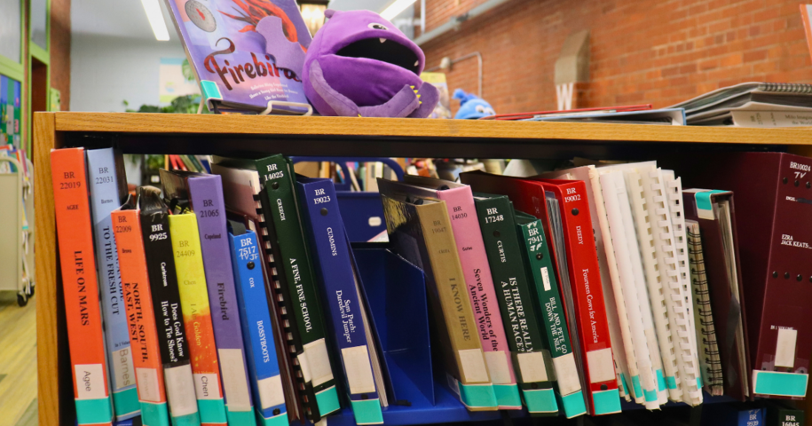 Colorful books on a shelf in the Youth Library